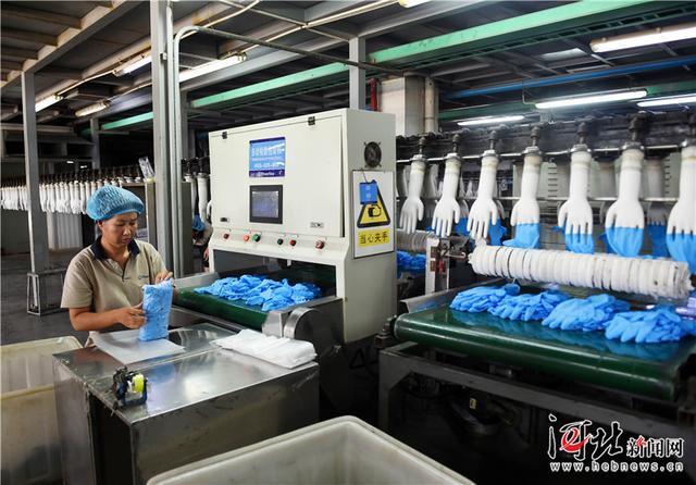 產(chǎn)學(xué)研一體化為翼，丁腈手套海外市場(chǎng)熱銷調(diào)查