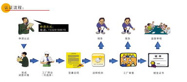 歐盟CE認證指南 流程、機構(gòu)選擇與南京倍晟咨詢中心的服務(wù)優(yōu)勢